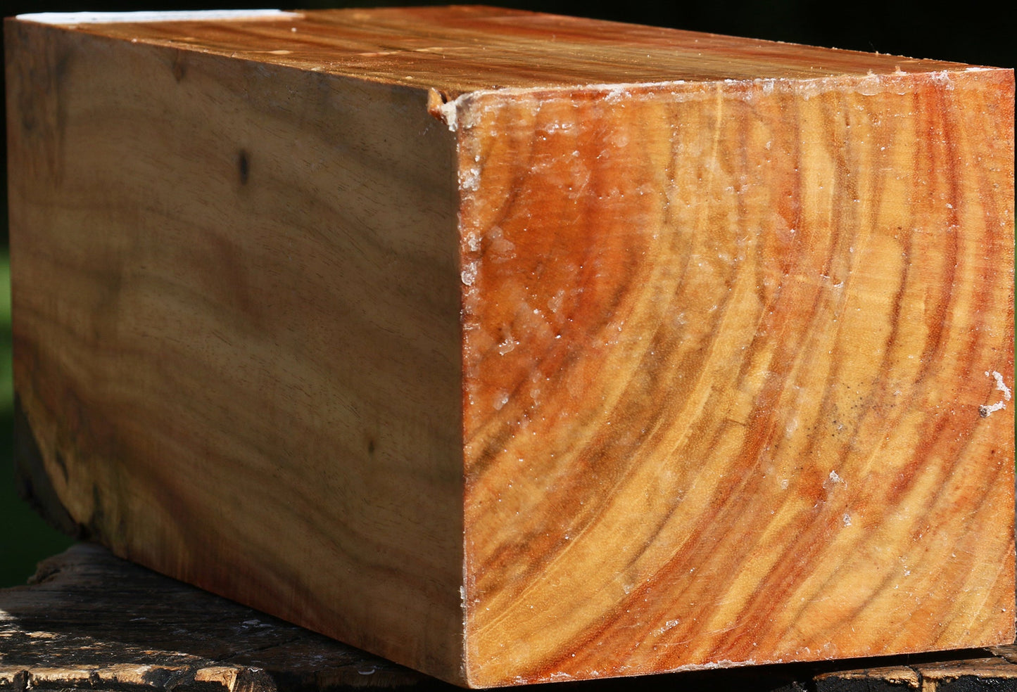 Figured Carob Vessel Blank