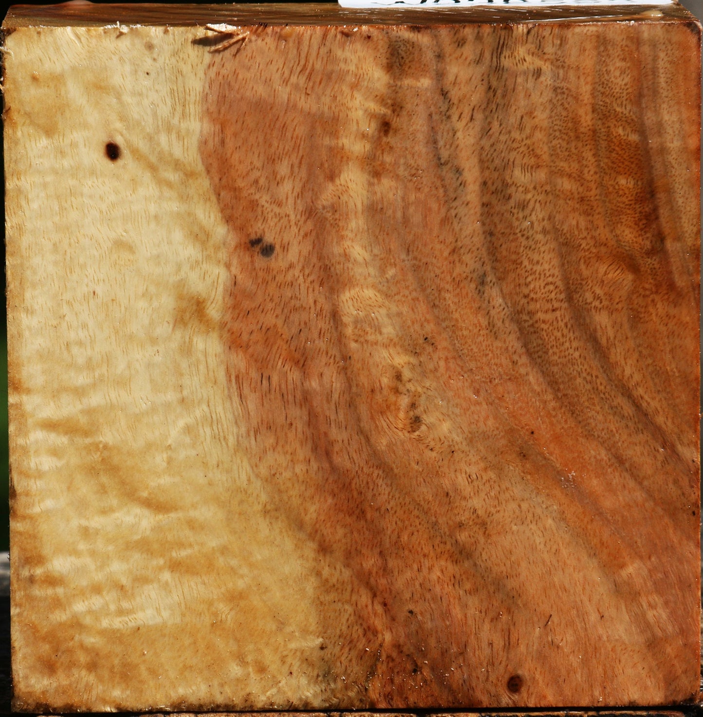 Extra Fancy Carob Bowl Blank