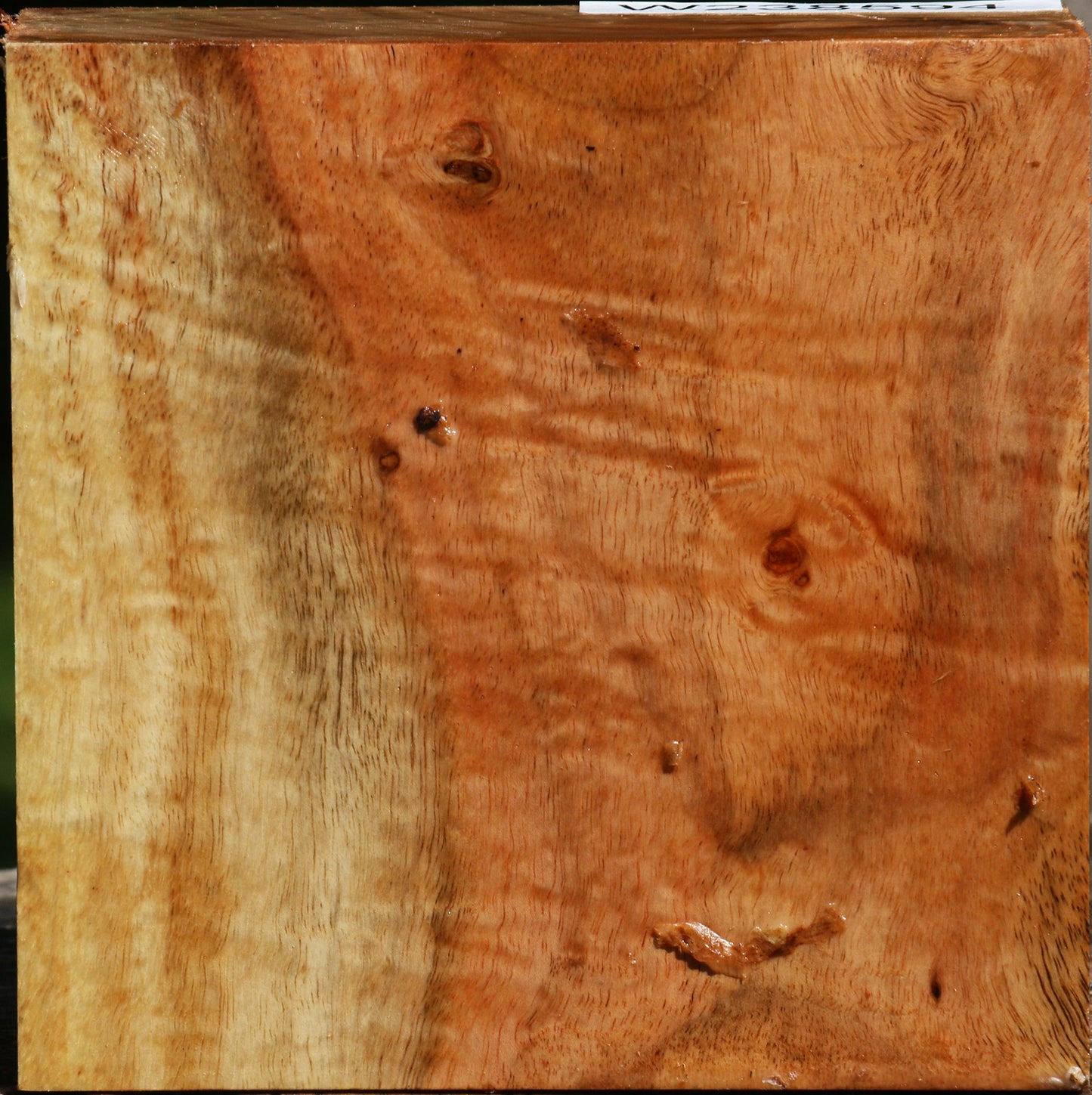 Extra Fancy Carob Bowl Blank