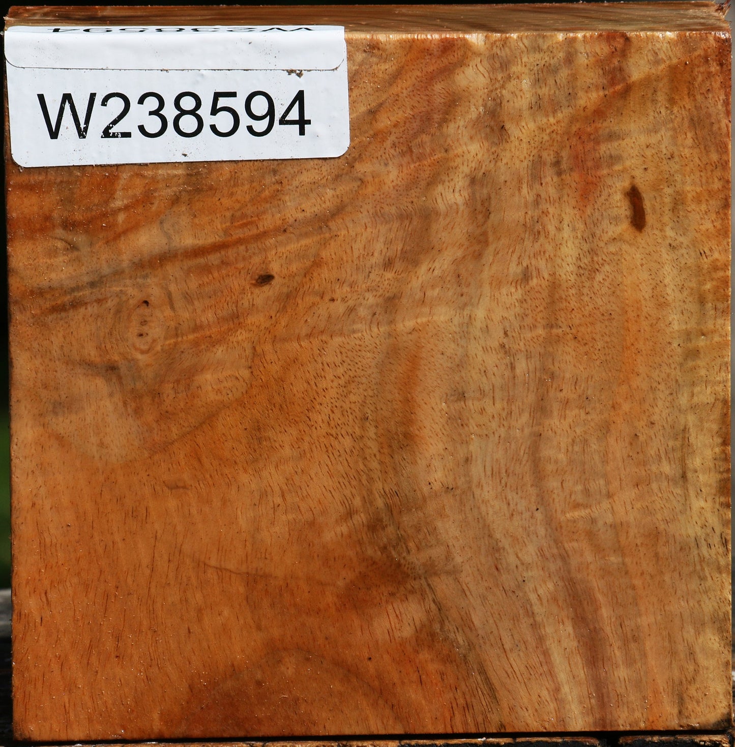 Extra Fancy Carob Bowl Blank