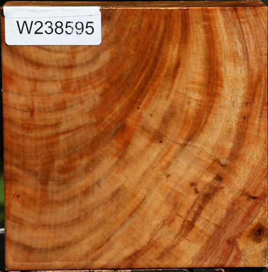 Extra Fancy Carob Bowl Blank