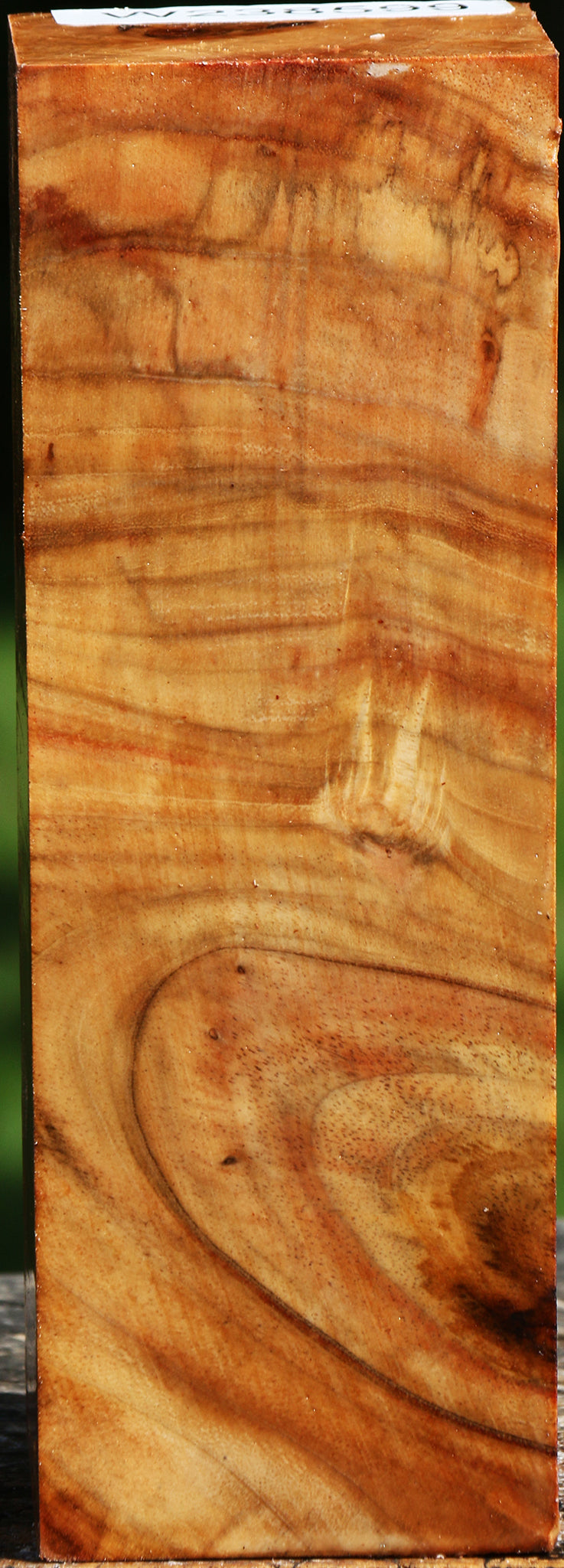 Extra Fancy Carob Turning Square