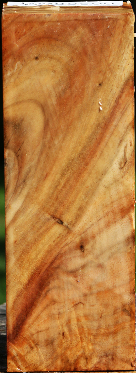 Extra Fancy Carob Turning Square