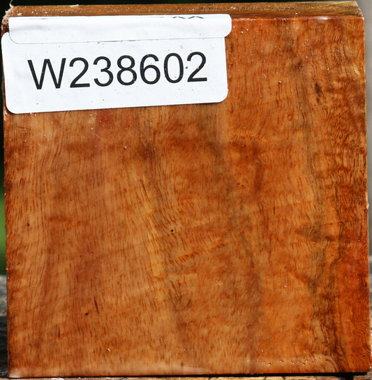 Figured Carob Bowl Blank