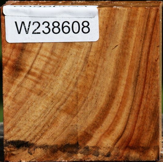 Extra Fancy Carob Bowl Blank