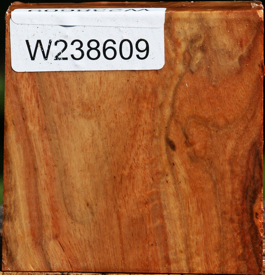 Extra Fancy Carob Bowl Blank