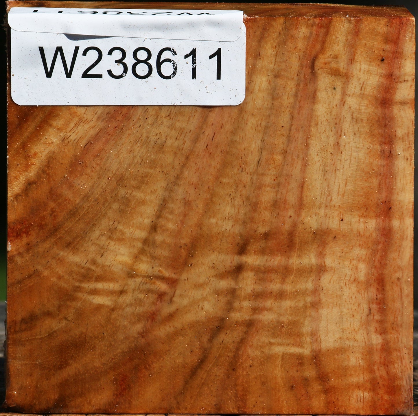 Extra Fancy Carob Bowl Blank