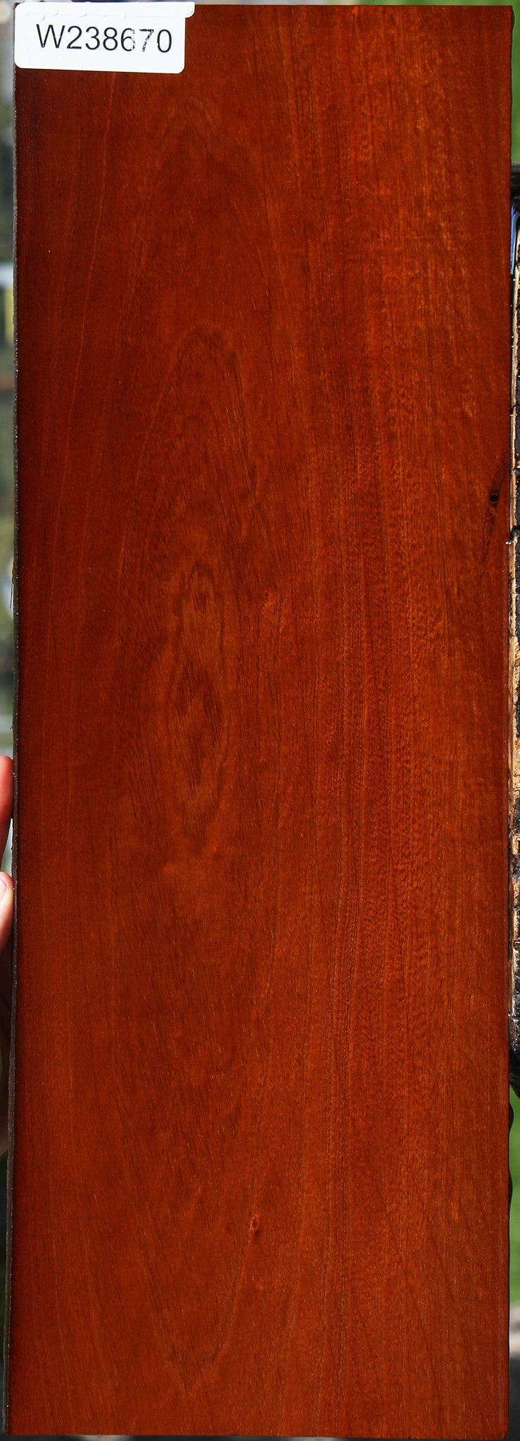 Andiroba Micro Lumber