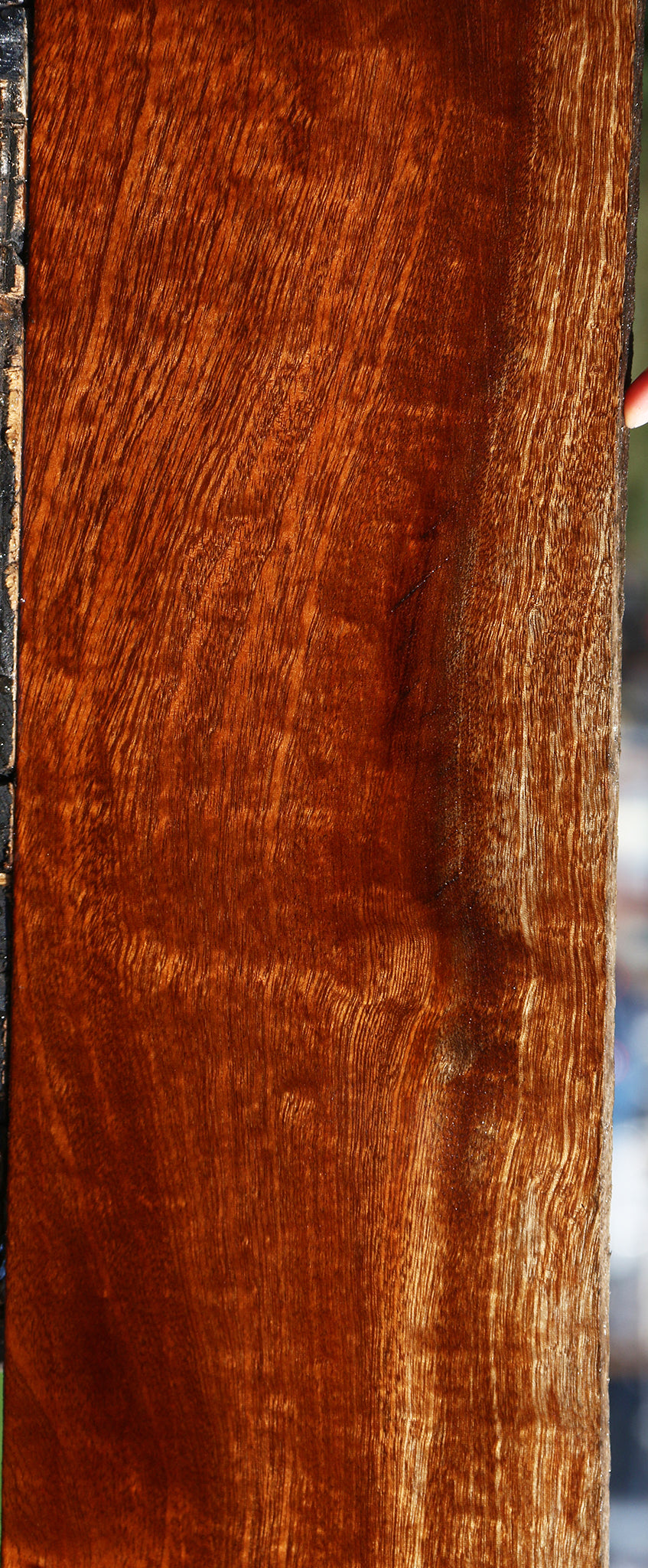 Extra Fancy Andiroba Lumber