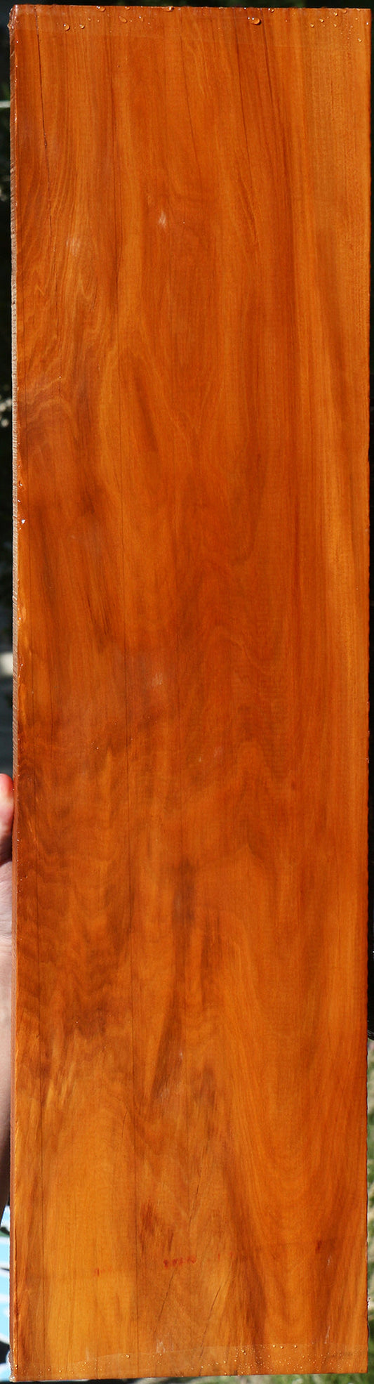 Figured Peroba Rosa Lumber