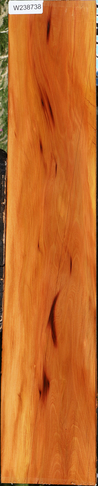 Figured Rustic Peroba Rosa Lumber