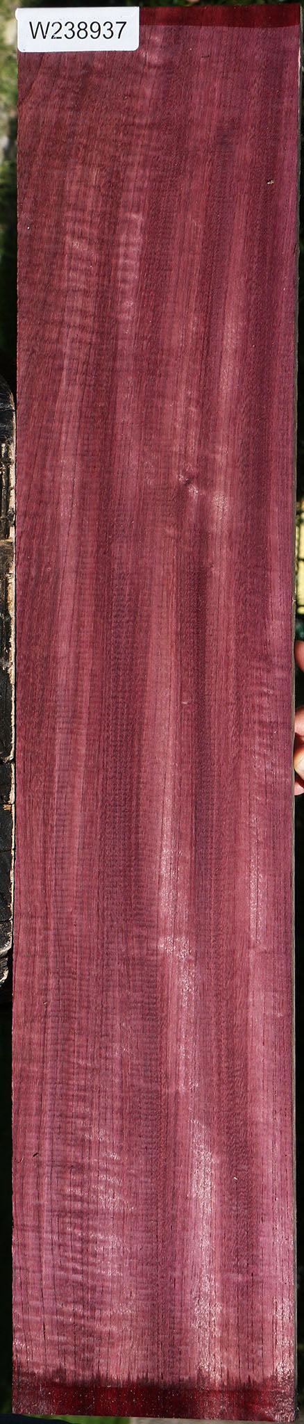 Extra Fancy Purpleheart Lumber