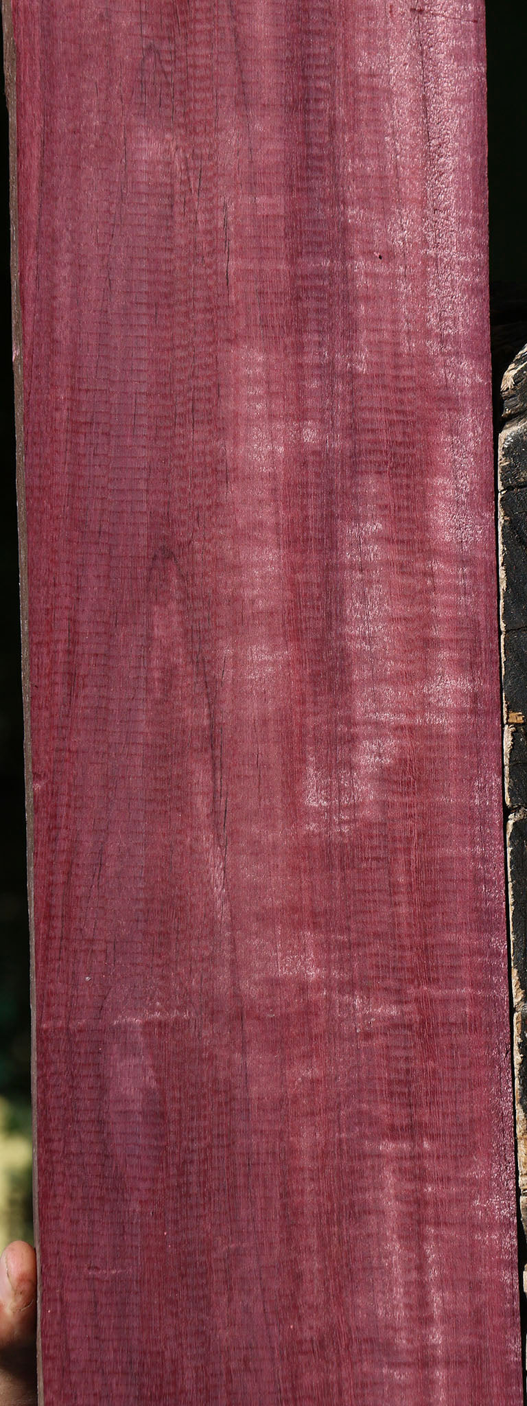 Extra Fancy Purpleheart Lumber