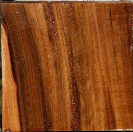Elm Bowl Blank