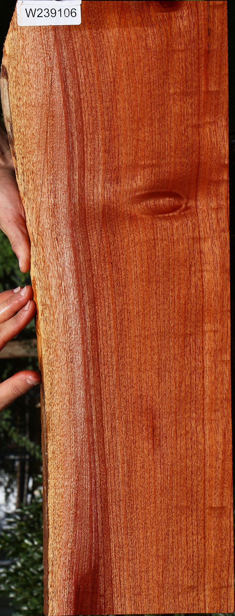 Brazilian Pepperwood Live Edge Lumber