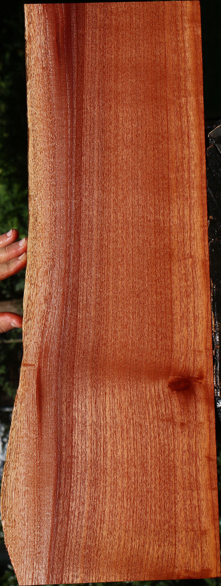 Brazilian Pepperwood Live Edge Lumber