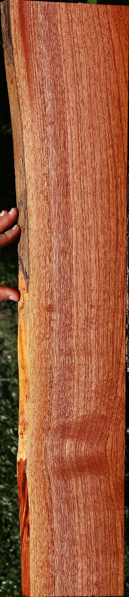 Figured Brazilian Pepperwood Live Edge Lumber