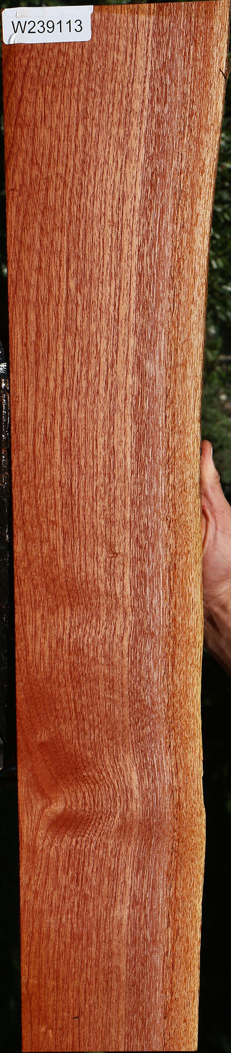 Figured Brazilian Pepperwood Live Edge Lumber
