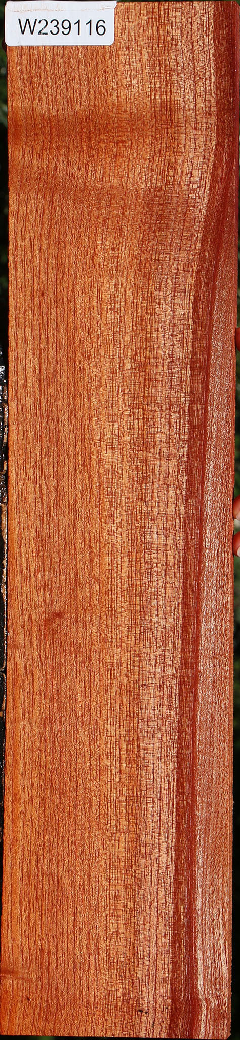 Brazilian Pepperwood Lumber
