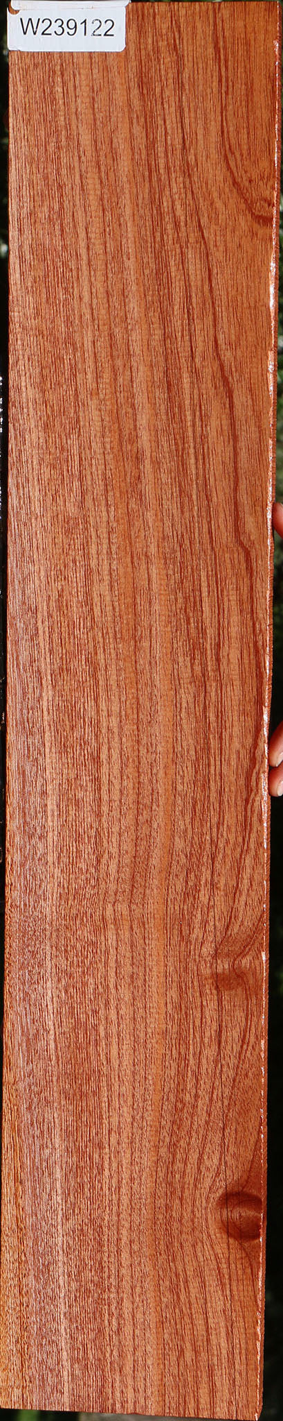 Brazilian Pepperwood Lumber