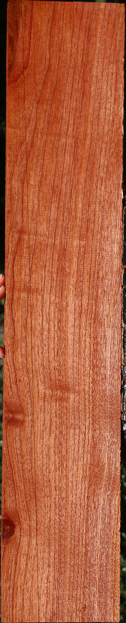 Brazilian Pepperwood Lumber