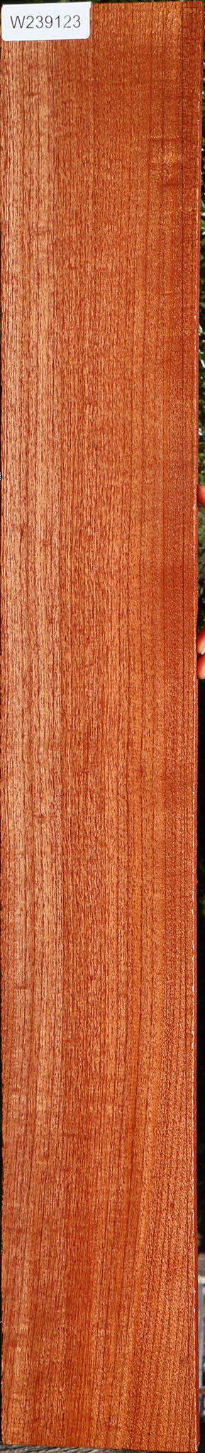 Brazilian Pepperwood Lumber