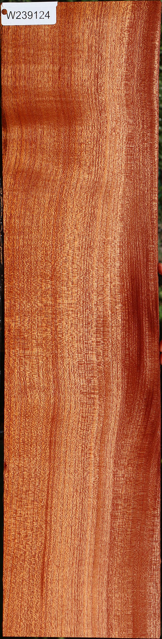 Quartersawn Brazilian Pepperwood Lumber