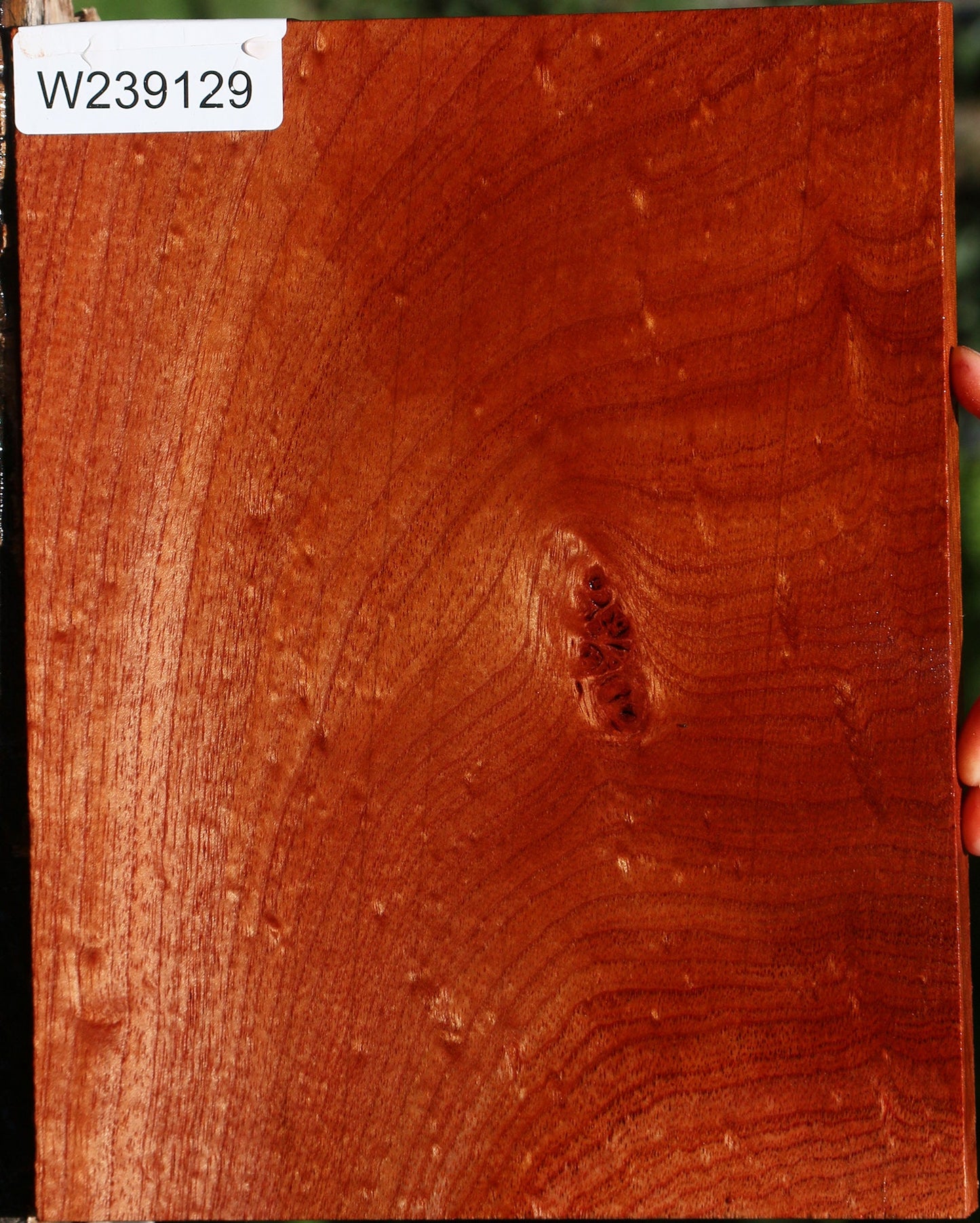 Figured Brazilian Pepperwood Lumber