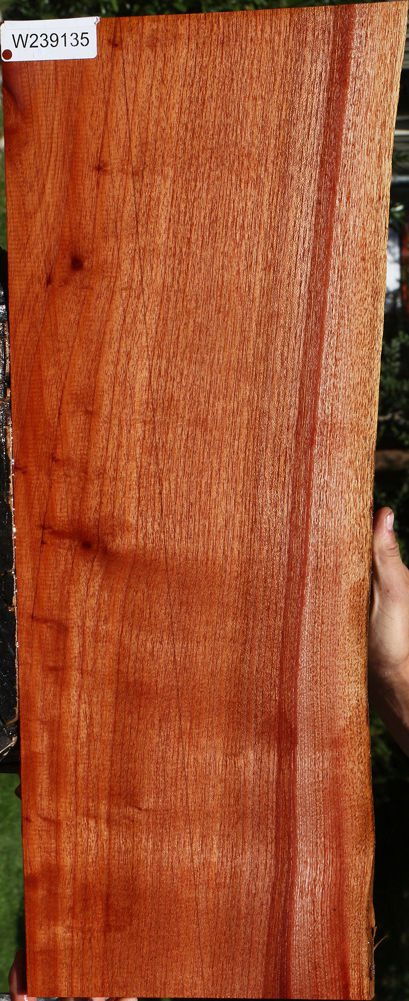 Brazilian Pepperwood Live Edge Lumber
