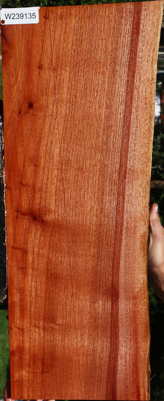 Brazilian Pepperwood Live Edge Lumber