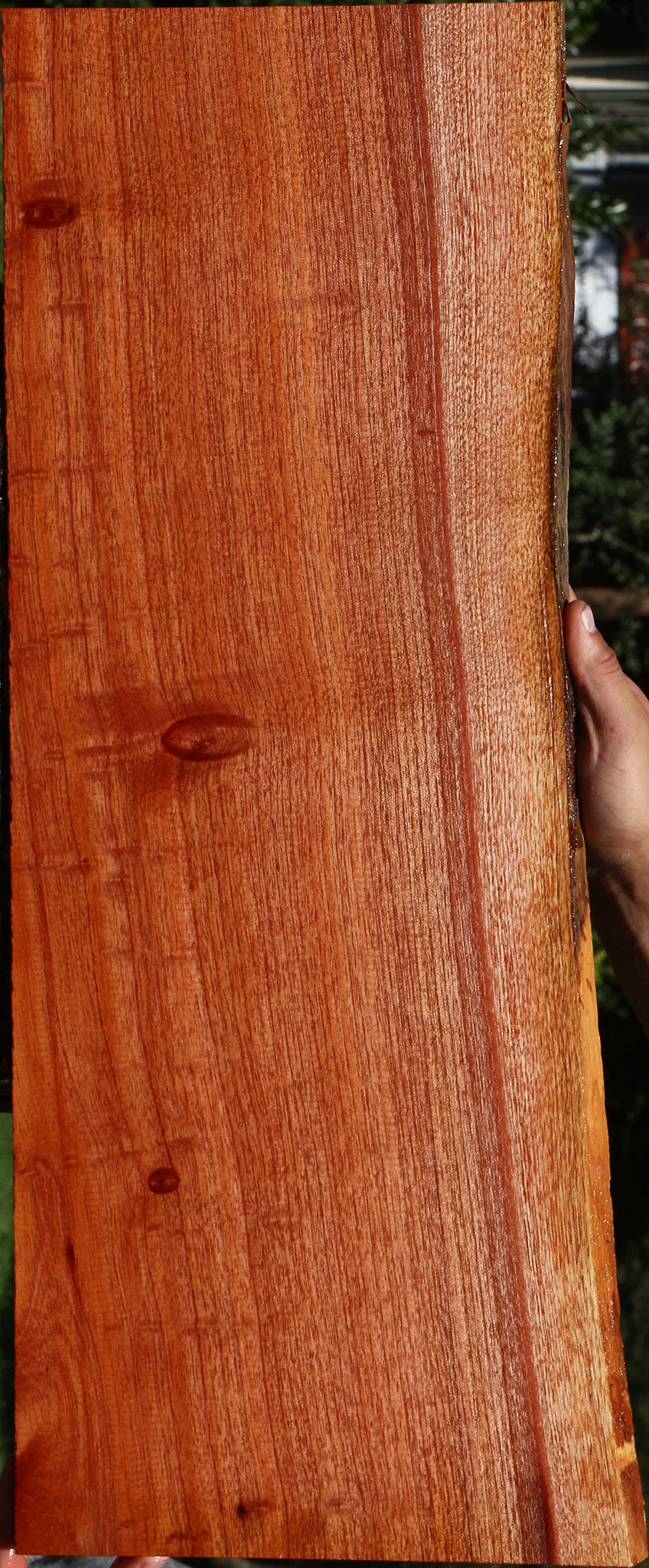 Brazilian Pepperwood Live Edge Lumber