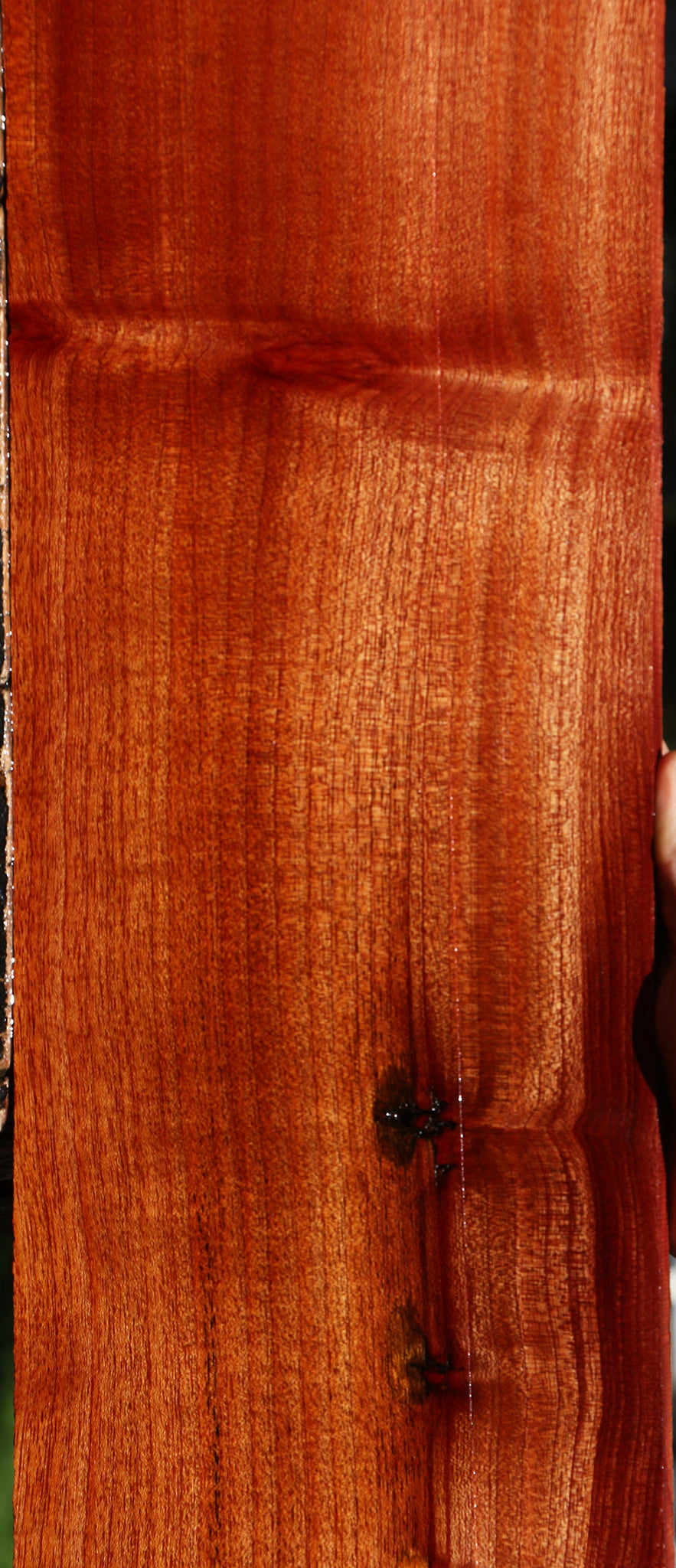 Figured Brazilian Pepperwood Lumber