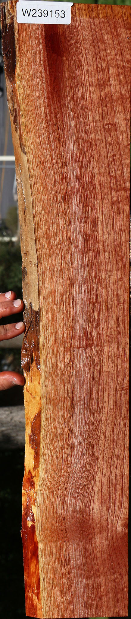 Figured Brazilian Pepperwood Live Edge Lumber