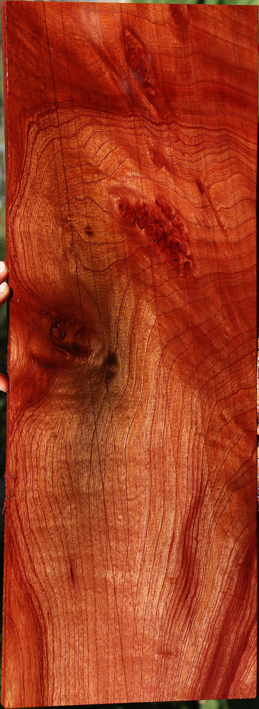 Extra Fancy Brazilian Pepperwood Lumber