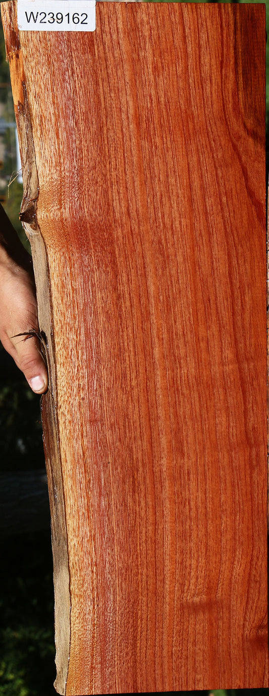 Brazilian Pepperwood Live Edge Lumber