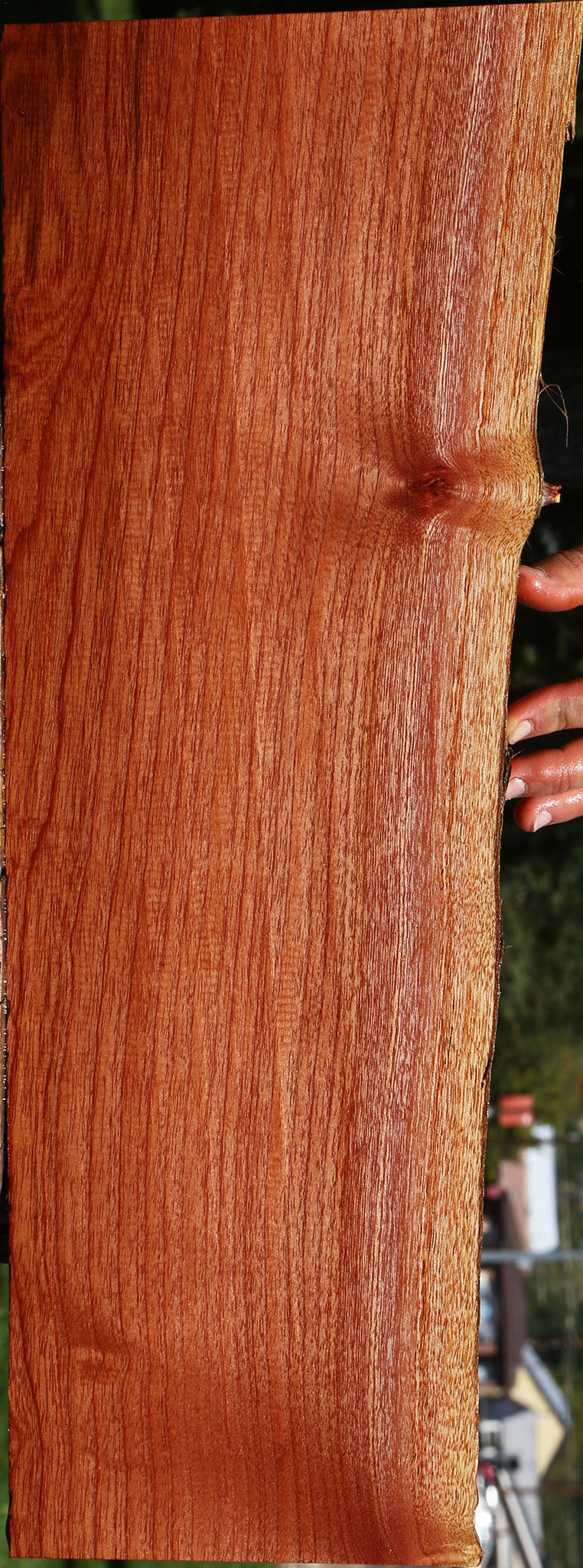 Brazilian Pepperwood Live Edge Lumber
