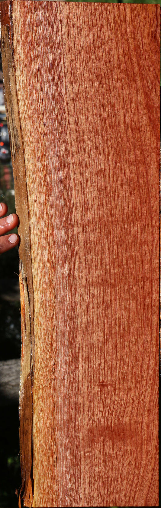 Brazilian Pepperwood Live Edge Lumber