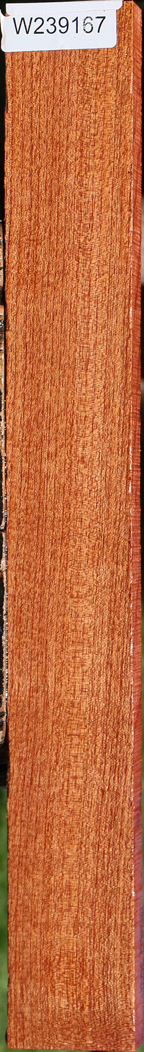 Brazilian Pepperwood Lumber