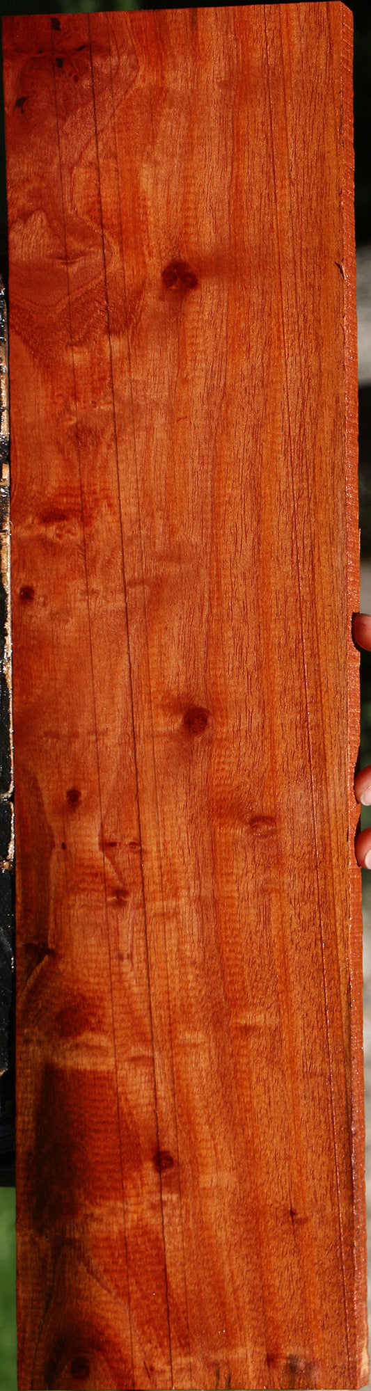 Extra Fancy Brazilian Pepperwood Lumber
