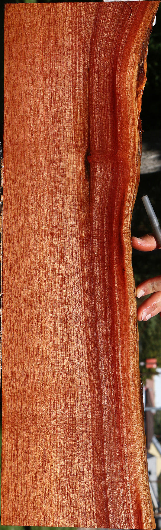 Figured Brazilian Pepperwood Live Edge Lumber