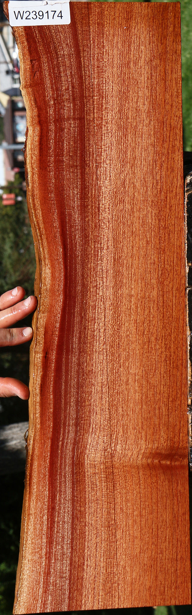 Figured Brazilian Pepperwood Live Edge Lumber