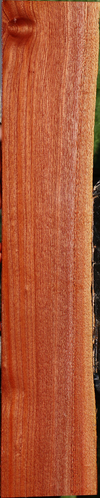 Brazilian Pepperwood Live Edge Lumber