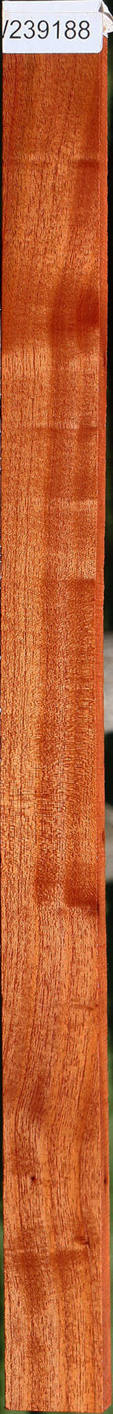 Figured Brazilian Pepperwood Lumber