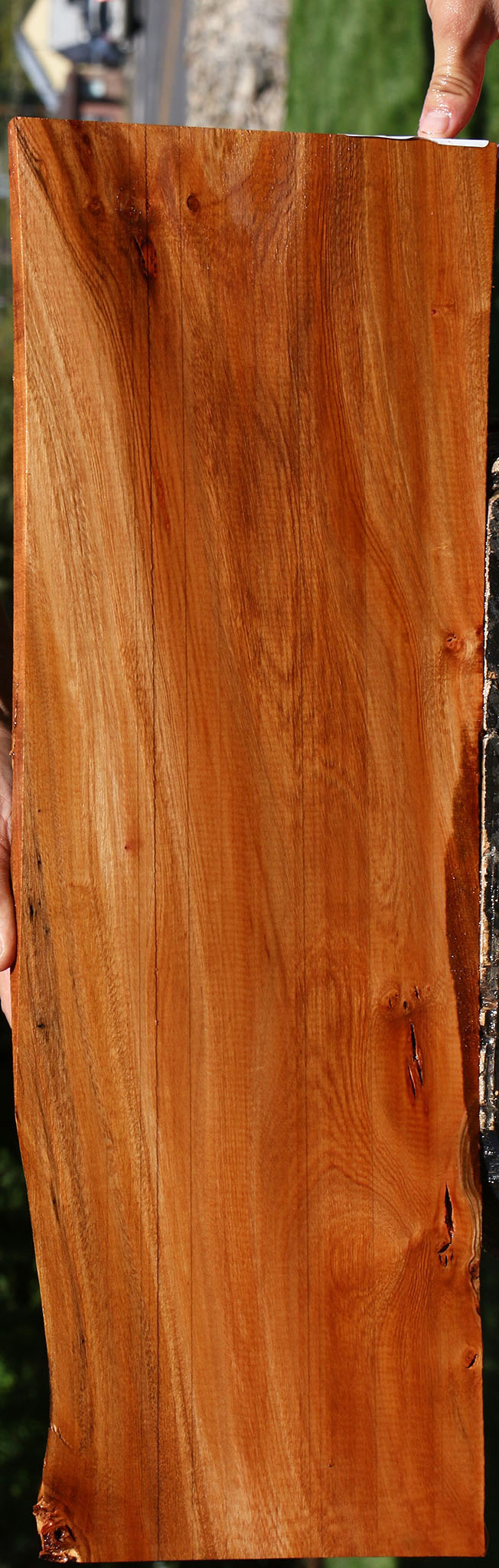 Brazilian Pepperwood Micro Lumber