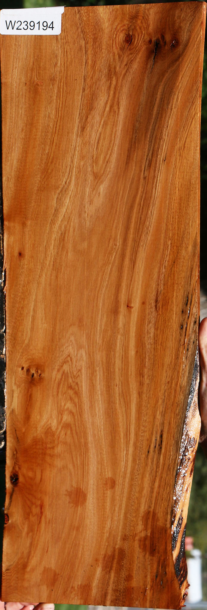 Brazilian Pepperwood Micro Lumber