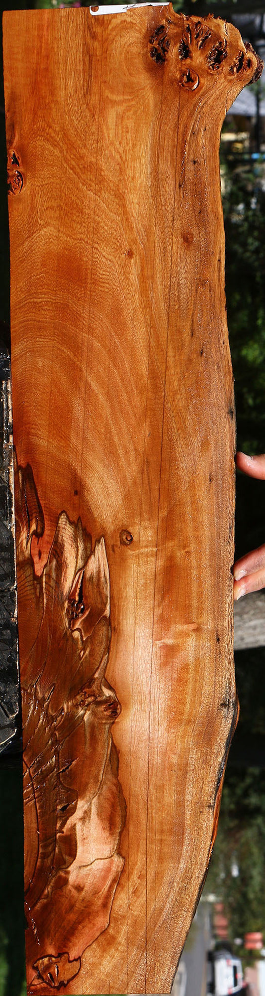 Extra Fancy Brazilian Pepperwood Live Edge Micro Lumber