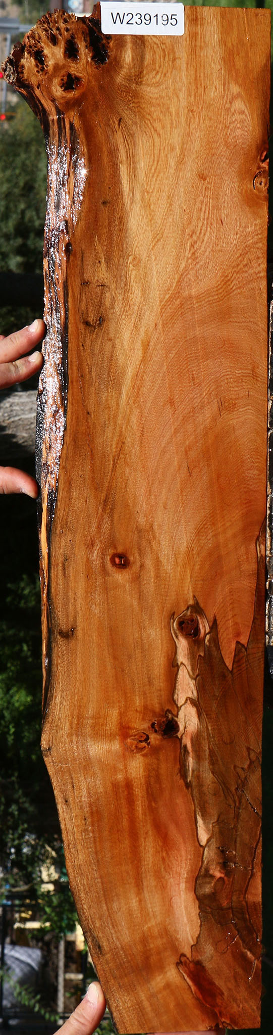 Extra Fancy Brazilian Pepperwood Live Edge Micro Lumber