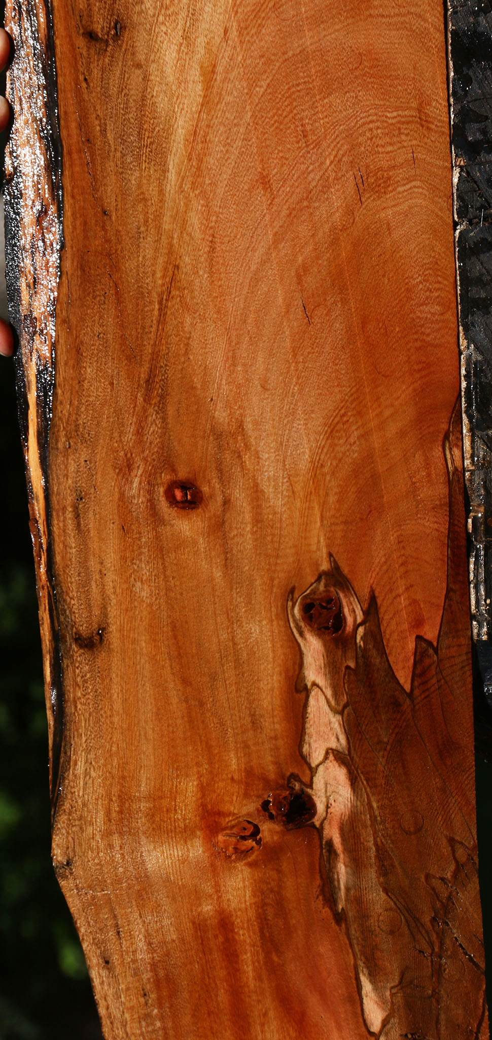 Extra Fancy Brazilian Pepperwood Live Edge Micro Lumber