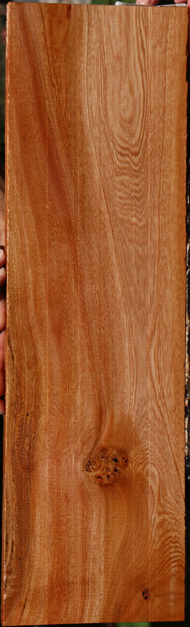 Brazilian Pepperwood Micro Lumber
