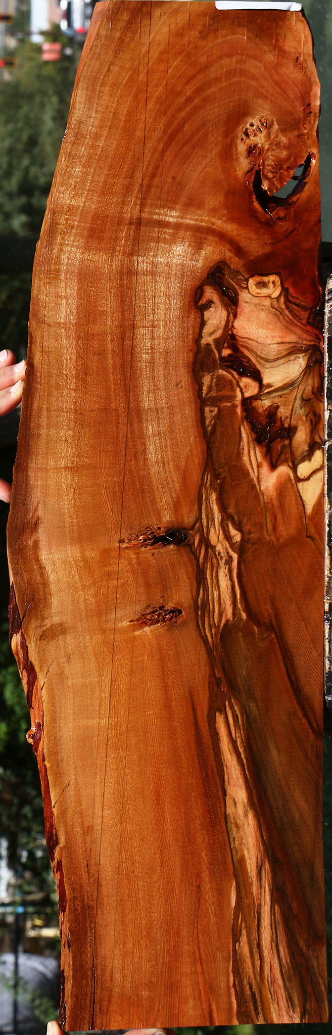 Extra Fancy Brazilian Pepperwood Live Edge Micro Lumber